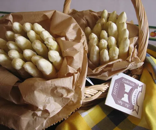 Asparagi bianchi