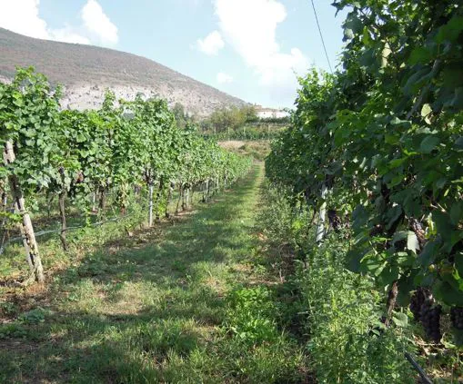 Forte Wohlgemuth accanto all'Agriturismo