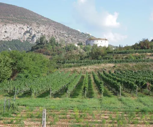 Forte Wohlgemuth accanto all'Agriturismo