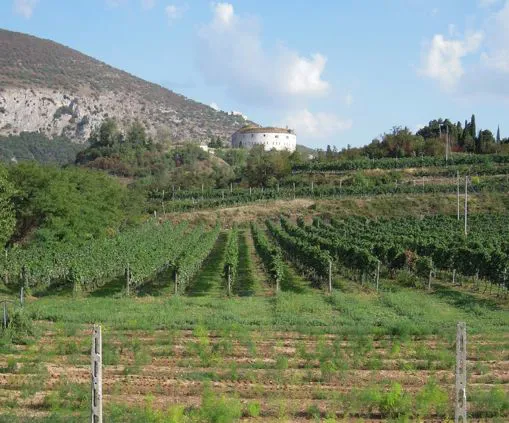 Forte Wohlgemuth accanto all'Agriturismo
