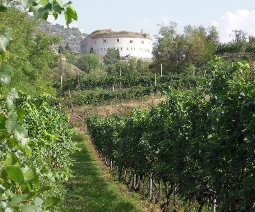Forte Wohlgemuth accanto all'Agriturismo