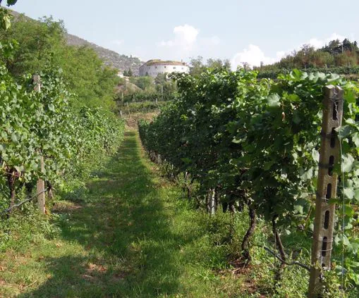 Forte Wohlgemuth accanto all'Agriturismo