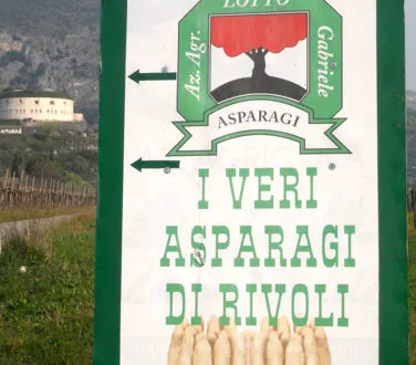 Caratteristiche e proprietà