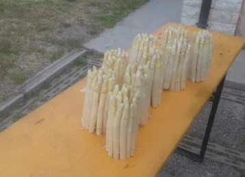 dalle nostre campagne direttamente a casa vostra