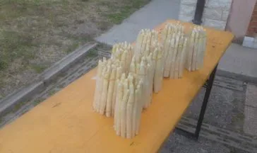 dalle nostre campagne direttamente a casa vostra